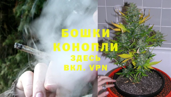 шишки Абдулино