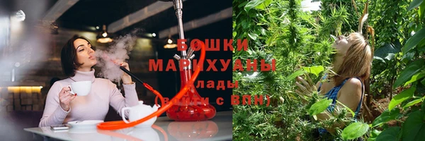 шишки Абдулино