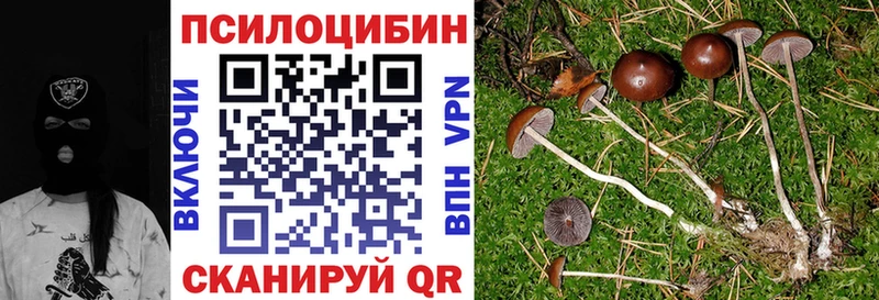 сколько стоит  сайты даркнета как зайти  Псилоцибиновые грибы мухоморы  Сургут 