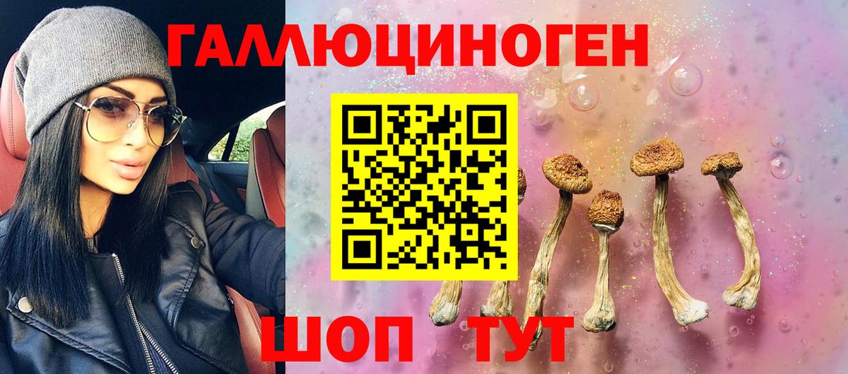 наркошоп  Галлюциногенные грибы MAGIC MUSHROOMS  Вход с VPN  Сургут 