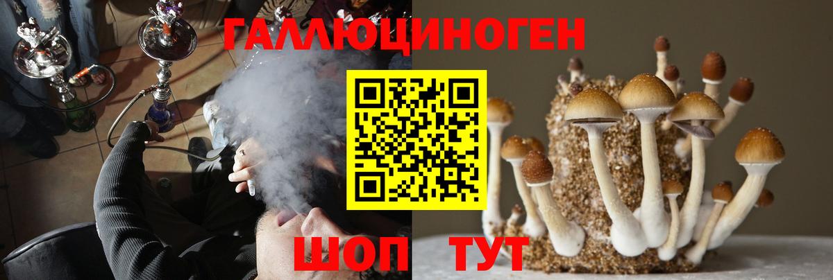 Псилоцибиновые грибы прущие грибы Сургут