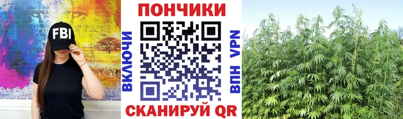 Бошки Шишки планчик Сургут