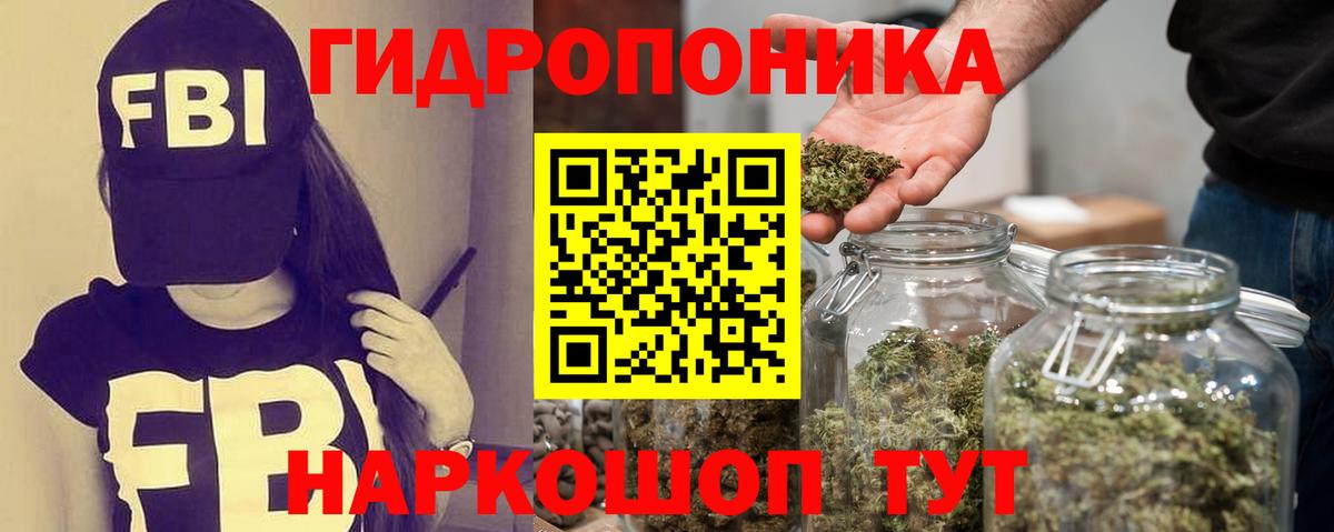 Каннабис OG Kush Сургут